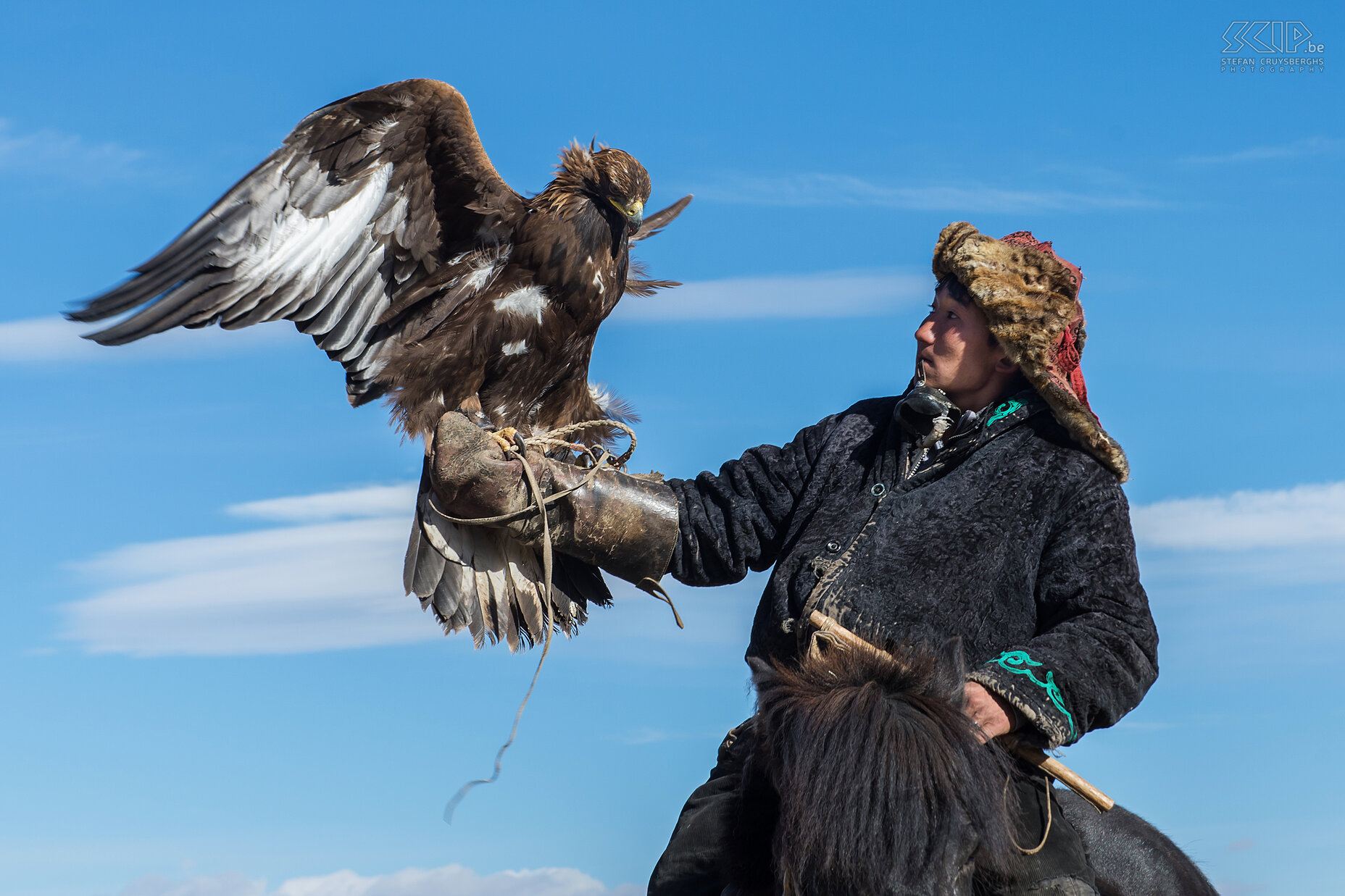 Ulgii - Bazarbai on his horse Bazarbai is a young eagle hunter who was the main actor of the international movie ‘The Eagle Hunter's Son. Stefan Cruysberghs